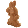 Milk Chocolate Football Bunny