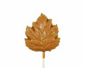 Fall Leaf - Rosalind Candy Castle